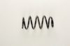OPEL 13172576 Coil Spring